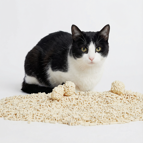 Tofu Cat Litter - Double